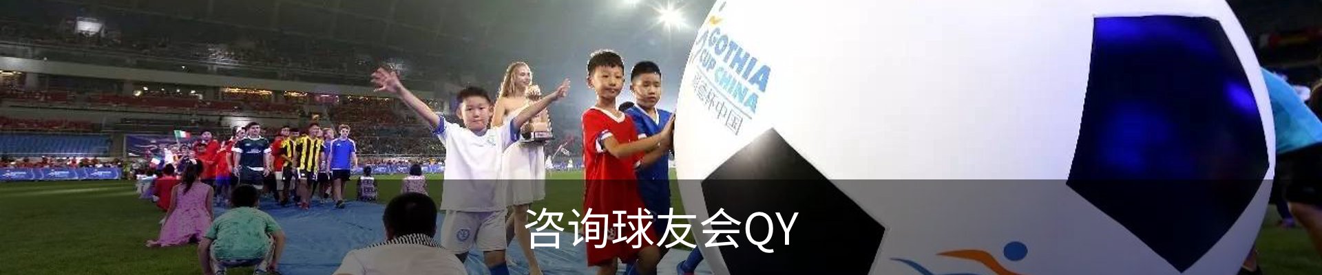 咨询球友会QY